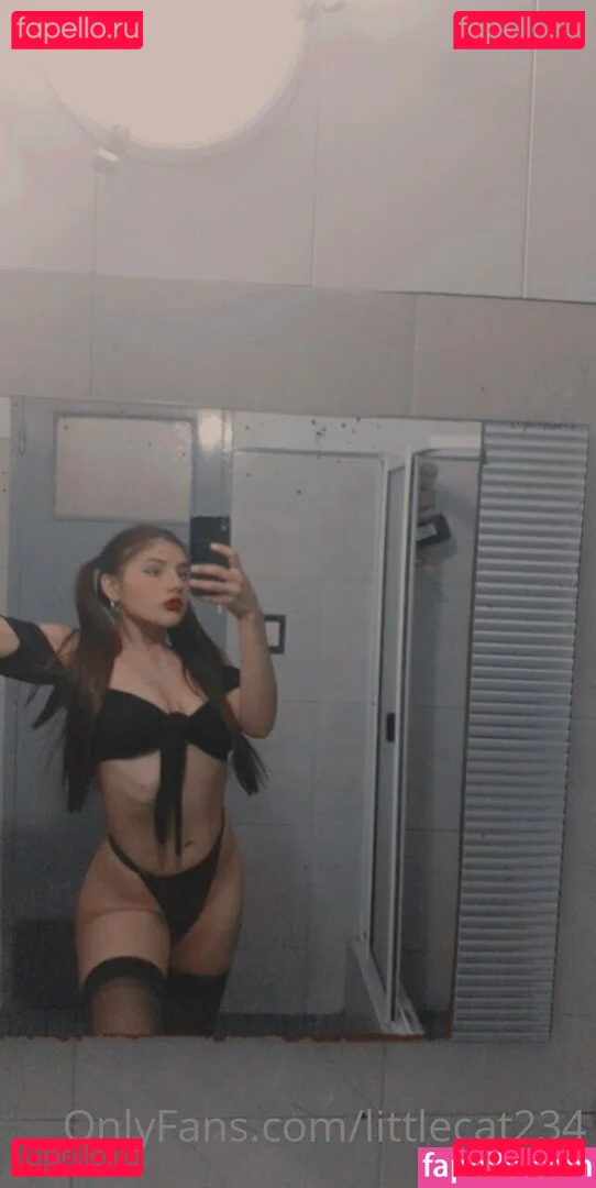 littlecat234 Nude Onlyfans Photo 8