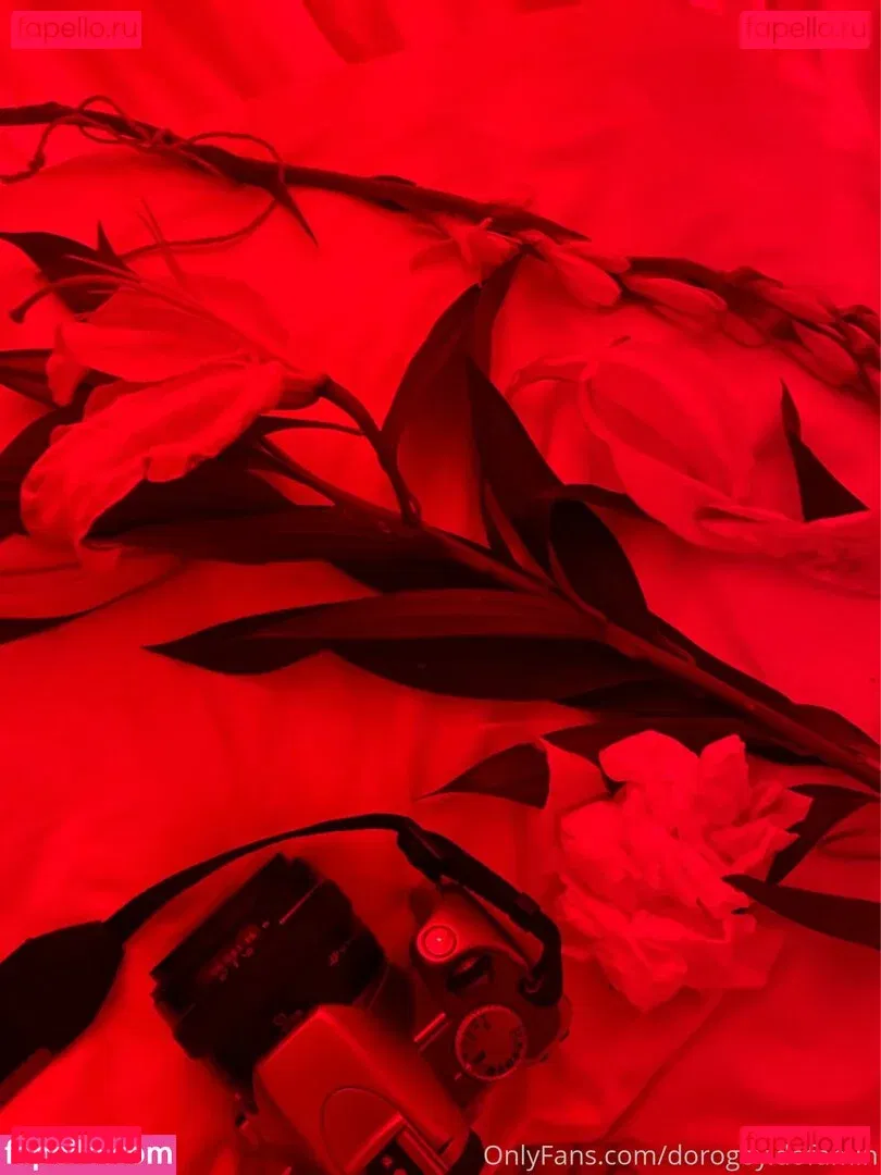 obs.cure Onlyfans Photo Gallery 