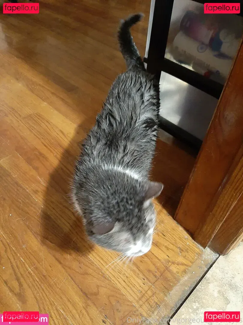 gorgeousgreeneyes Onlyfans Photo Gallery 