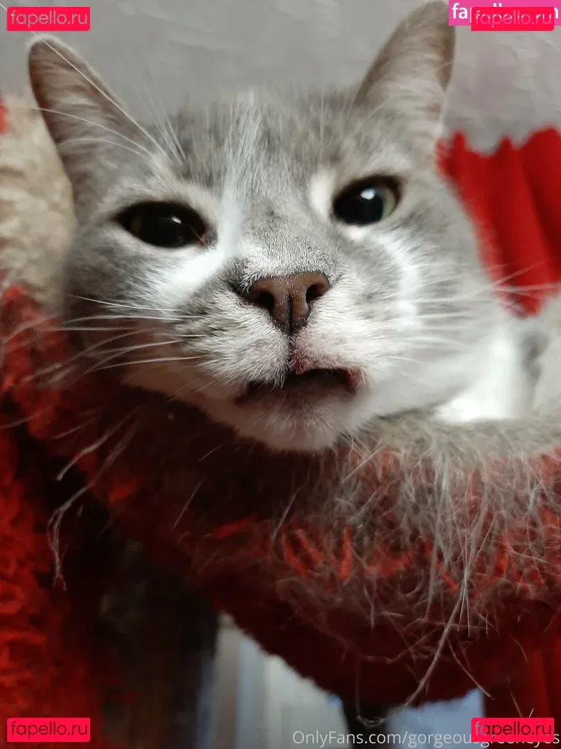 gorgeousgreeneyes Onlyfans Photo Gallery 