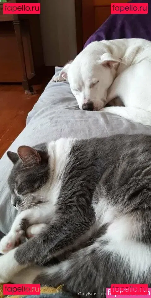 gorgeousgreeneyes Onlyfans Photo Gallery 