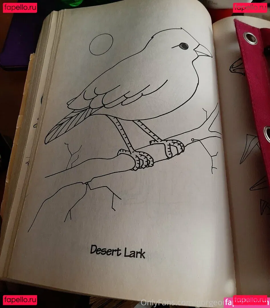 gorgeousgreeneyes Onlyfans Photo Gallery 