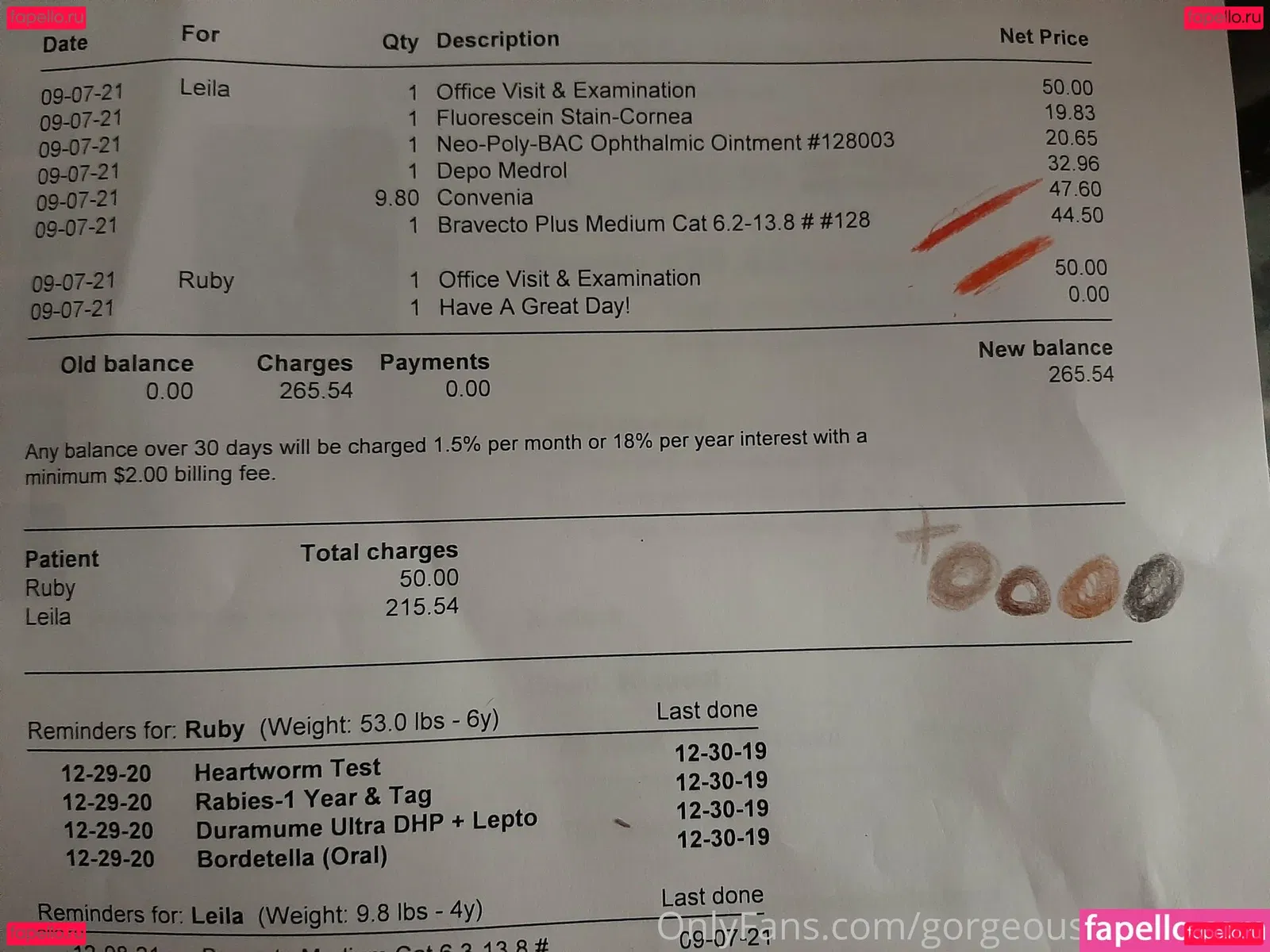 gorgeousgreeneyes Onlyfans Photo Gallery 