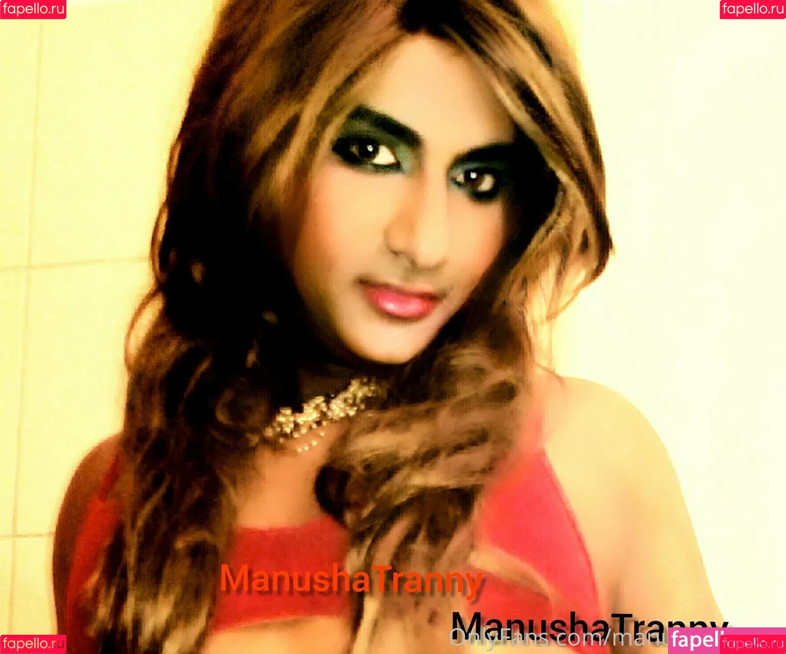 manushatranny Onlyfans Photo Gallery 
