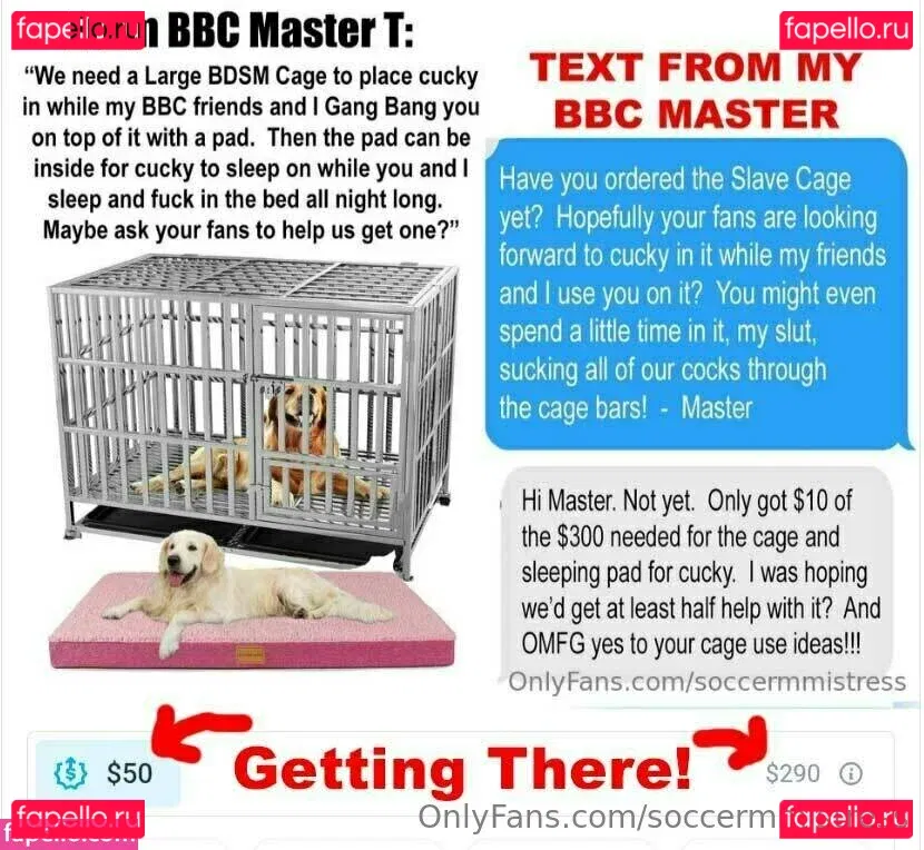 soccermmistress Onlyfans Photo Gallery 