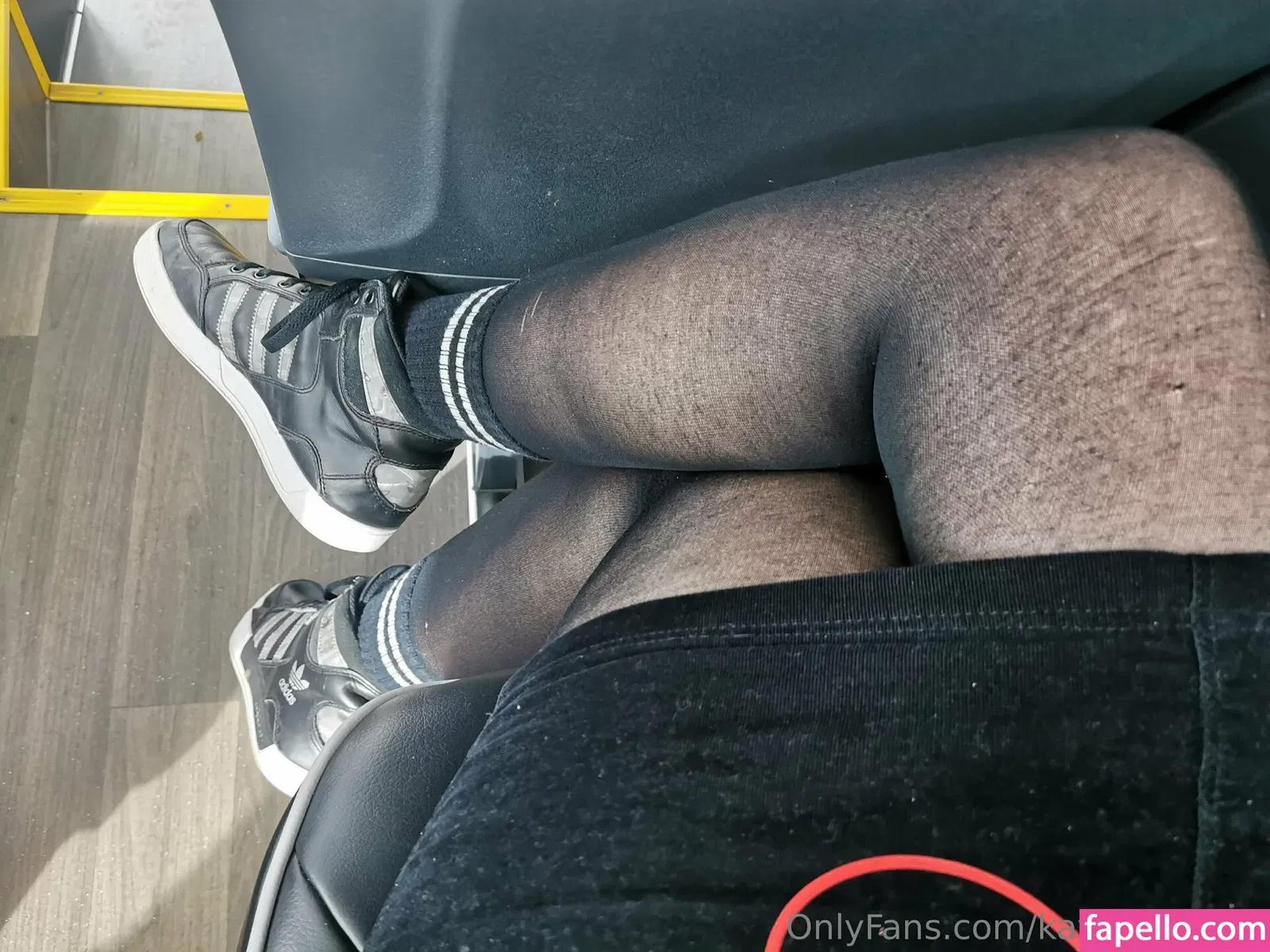 gabis_dz Onlyfans Photo Gallery 