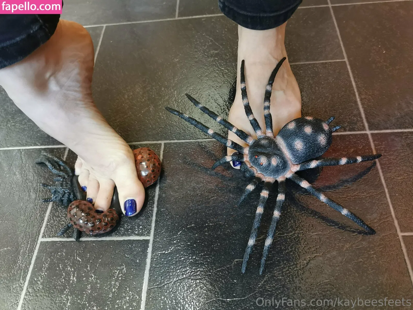 gabis_dz Onlyfans Photo Gallery 