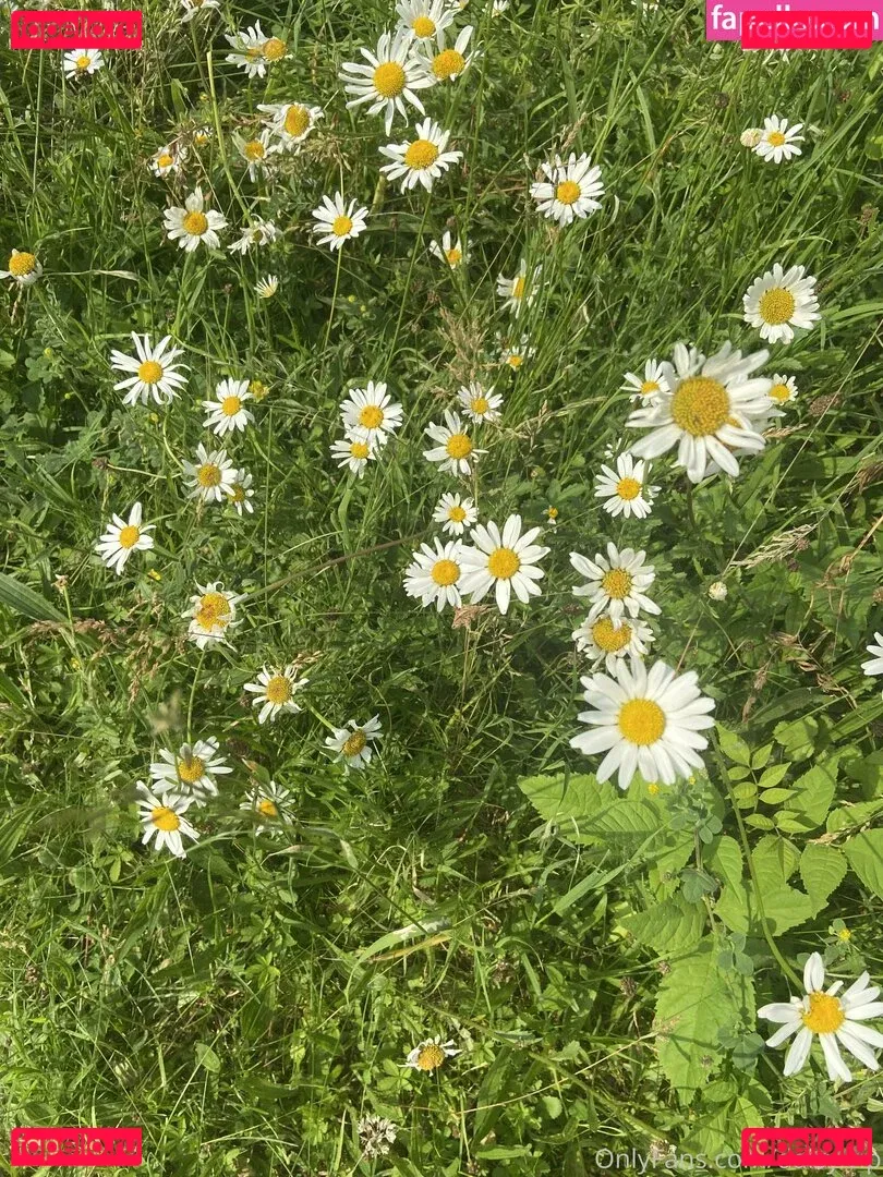 daisy.vip Onlyfans Photo Gallery 