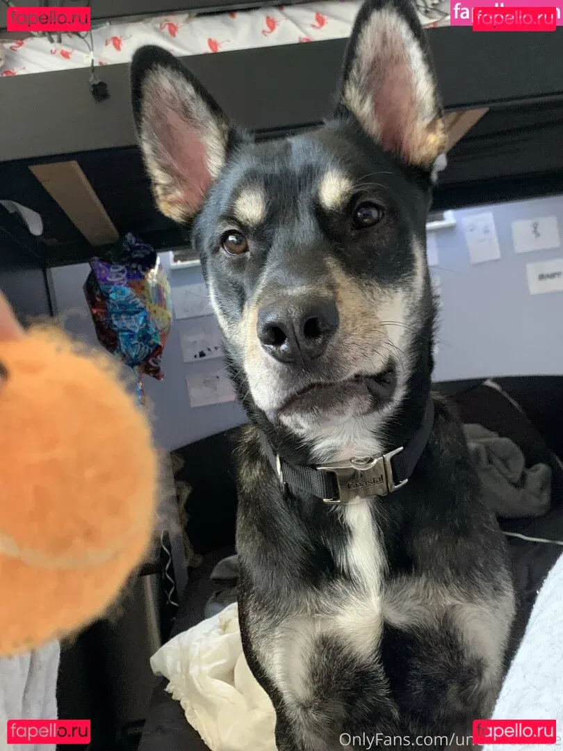 unethrealfree Onlyfans Photo Gallery 