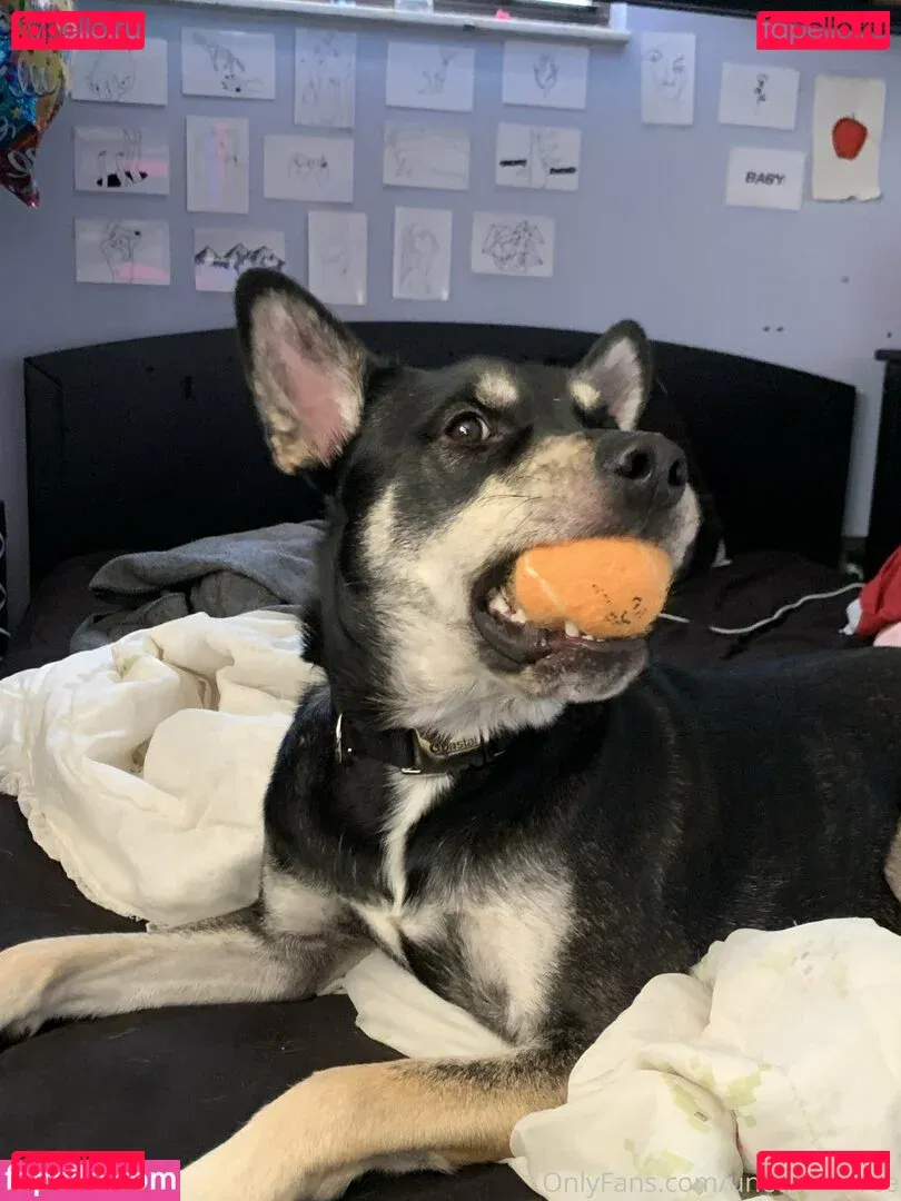 unethrealfree Onlyfans Photo Gallery 