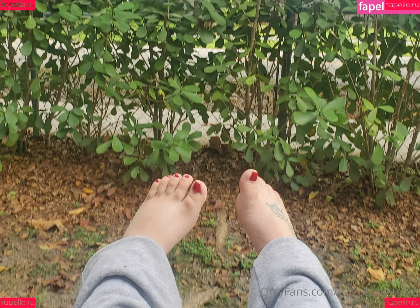 carrotcaketoots Onlyfans Photo Gallery 