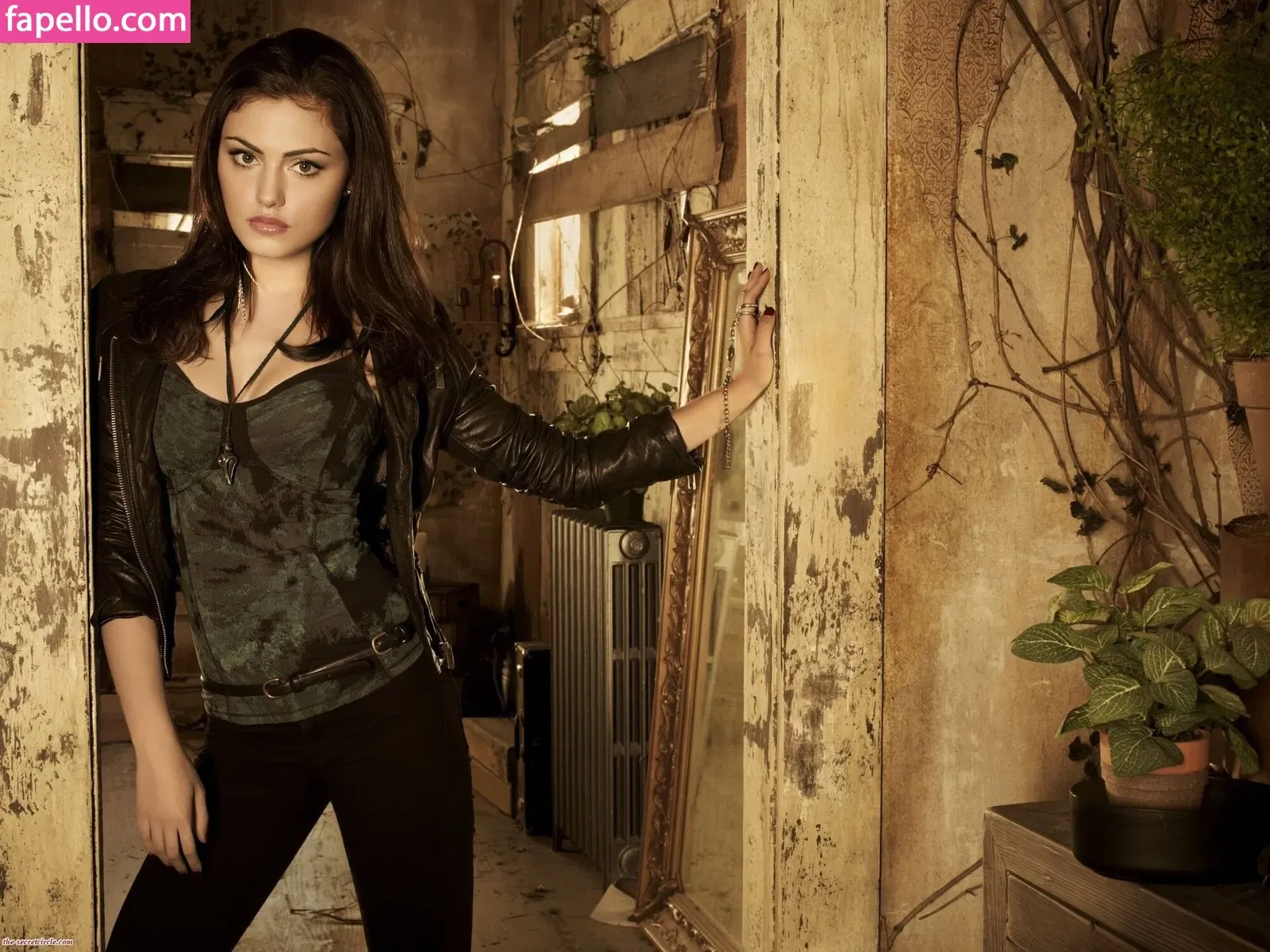 tomachan Onlyfans Photo Gallery 