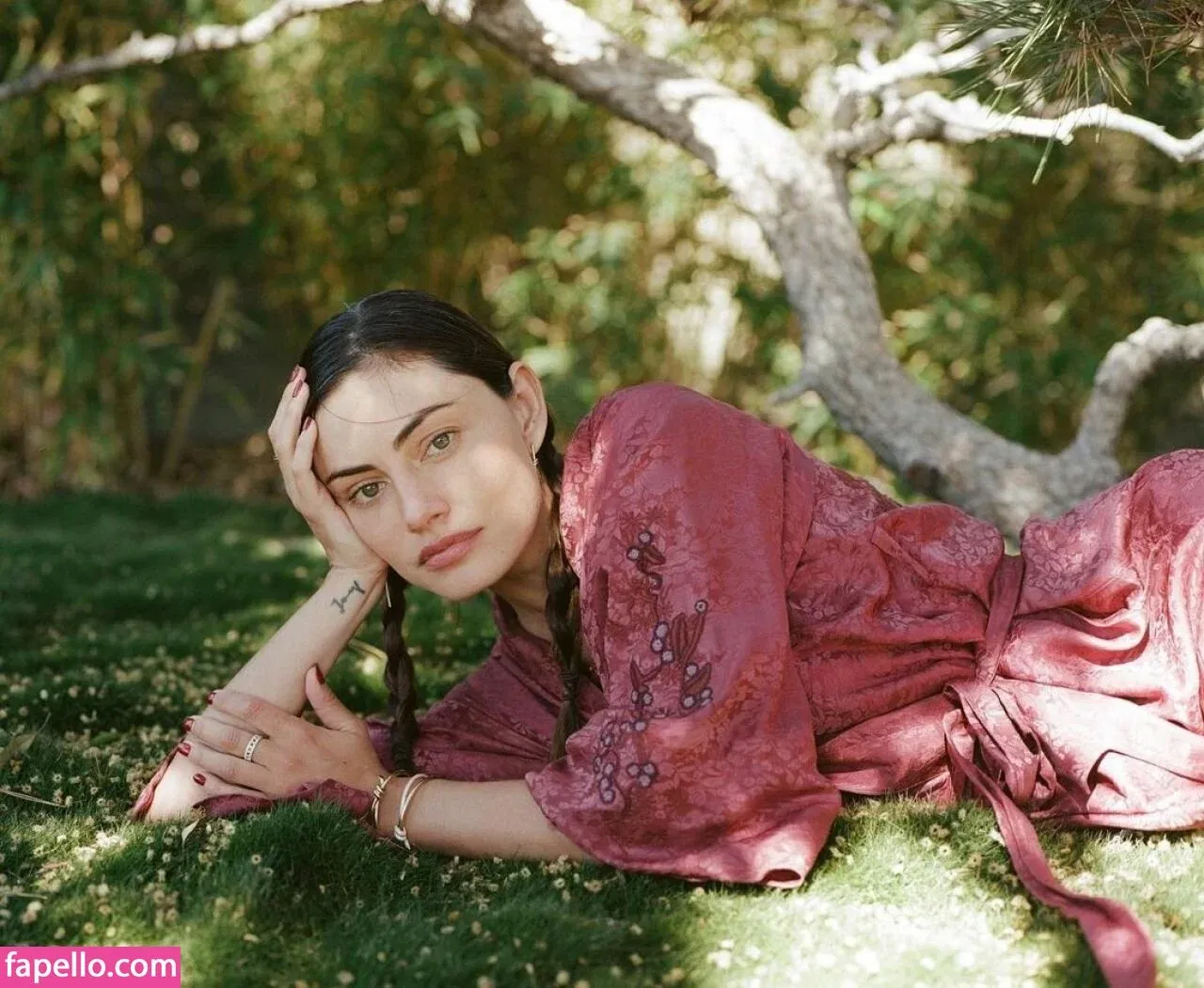 tomachan Onlyfans Photo Gallery 