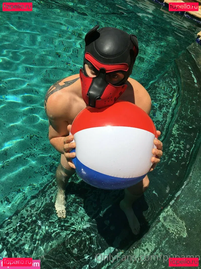 pupamp Onlyfans Photo Gallery 