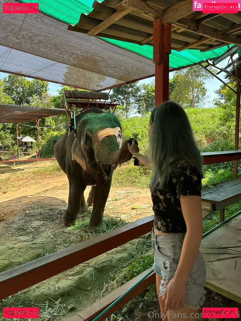 xolitoli Onlyfans Photo Gallery 