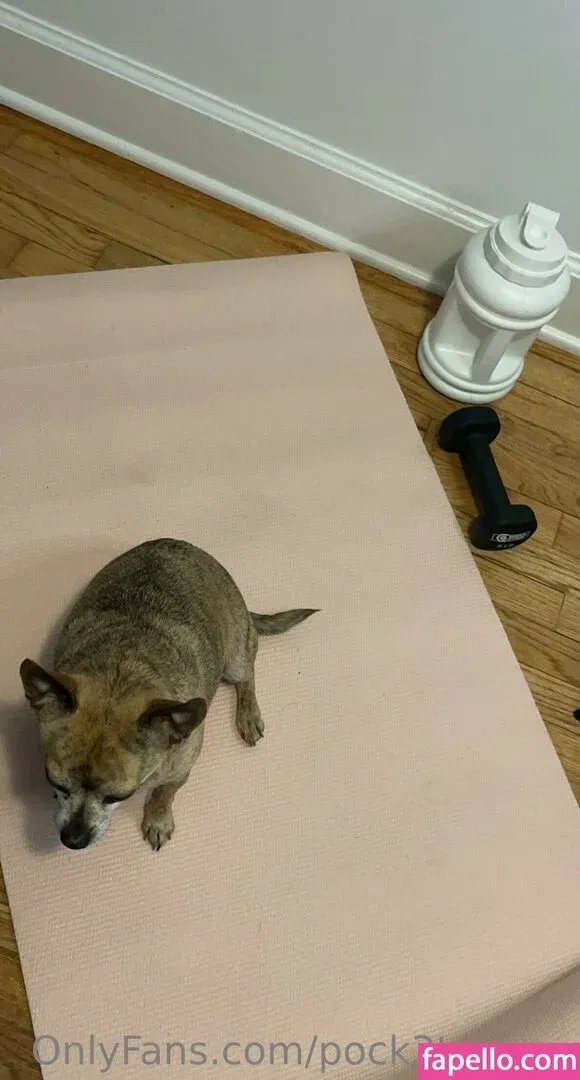 lelabeanx Onlyfans Photo Gallery 