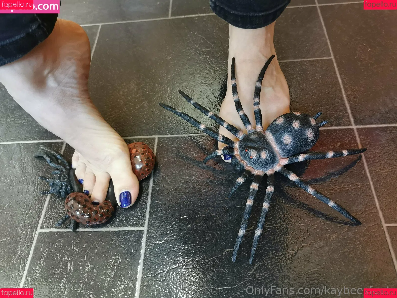 kaybeesfeets Onlyfans Photo Gallery 