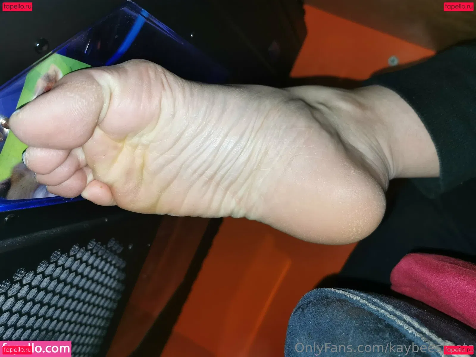 kaybeesfeets Onlyfans Photo Gallery 