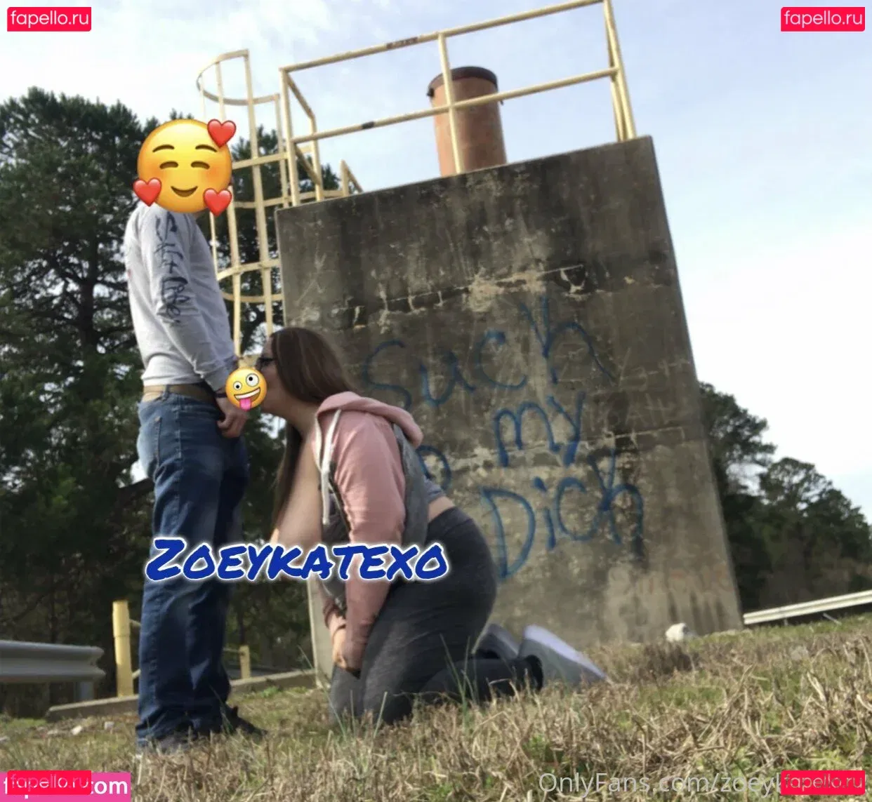 zoeykatexo2 Onlyfans Photo Gallery 