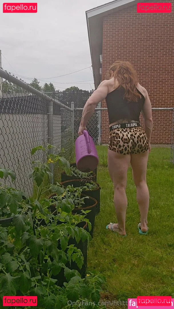 fitlittleredheadfree Onlyfans Photo Gallery 