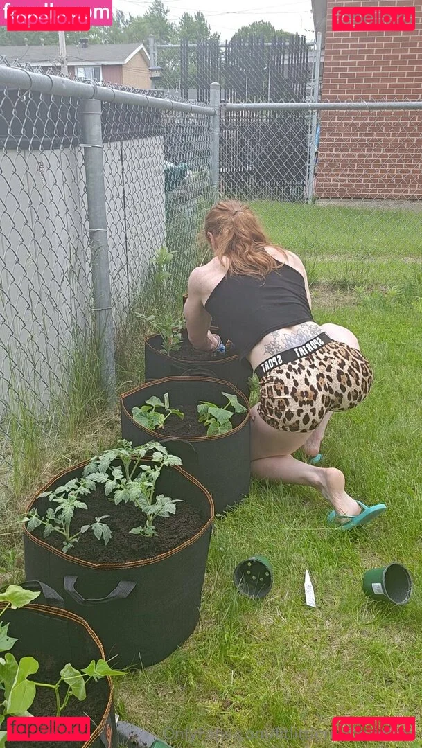 fitlittleredheadfree Onlyfans Photo Gallery 