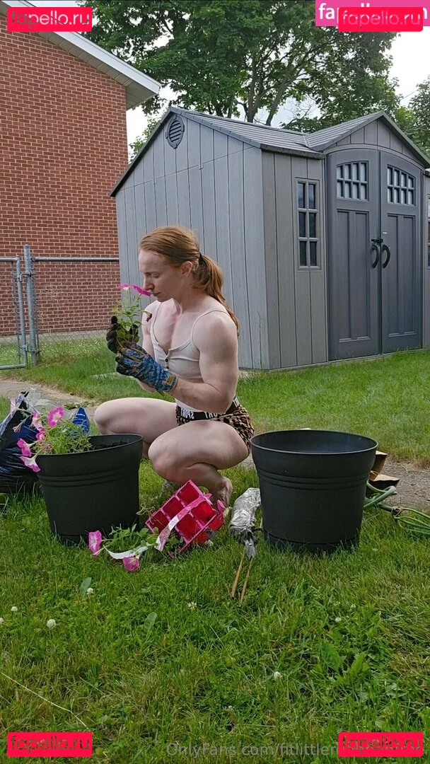 fitlittleredheadfree Onlyfans Photo Gallery 