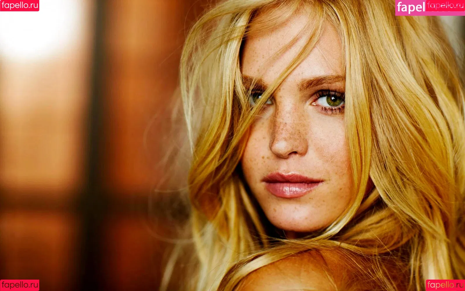 Erin Heatherton Onlyfans Photo Gallery 