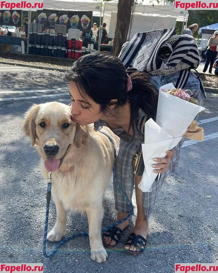 Camila Cabello Onlyfans Photo Gallery 