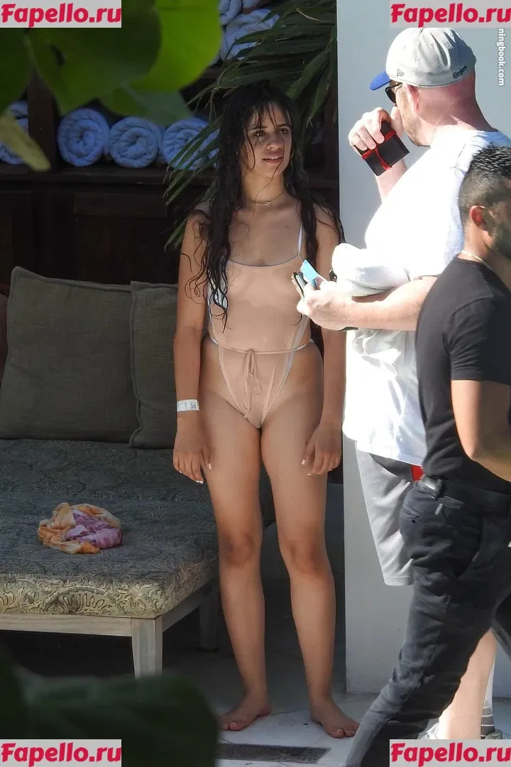 Camila Cabello Onlyfans Photo Gallery 