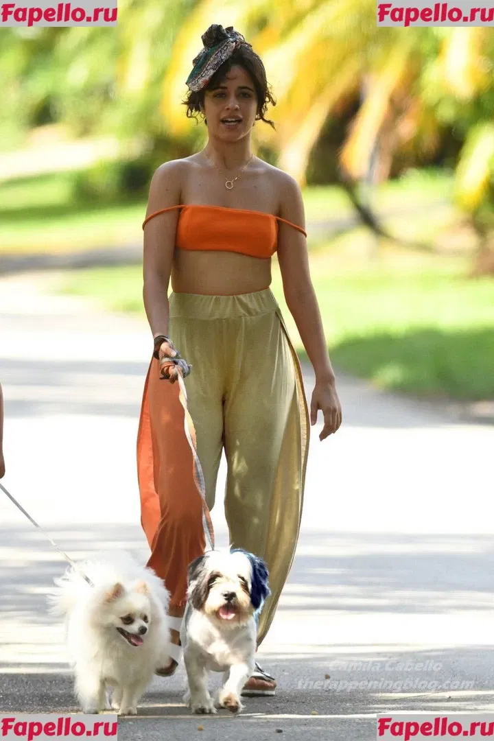 Camila Cabello Onlyfans Photo Gallery 