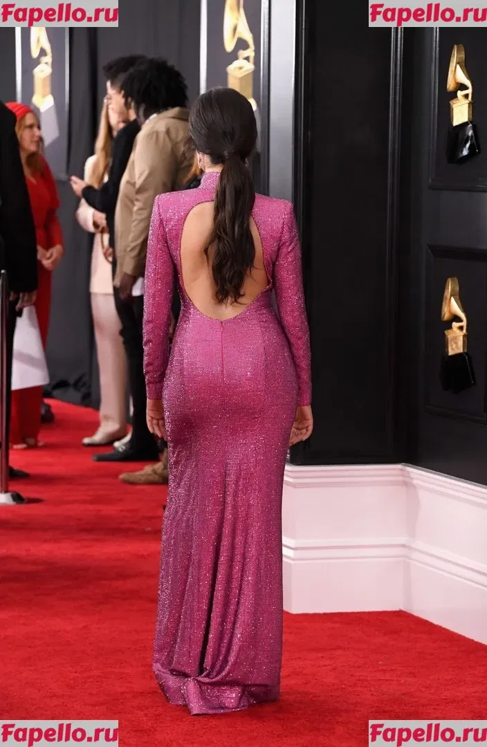 Camila Cabello Onlyfans Photo Gallery 