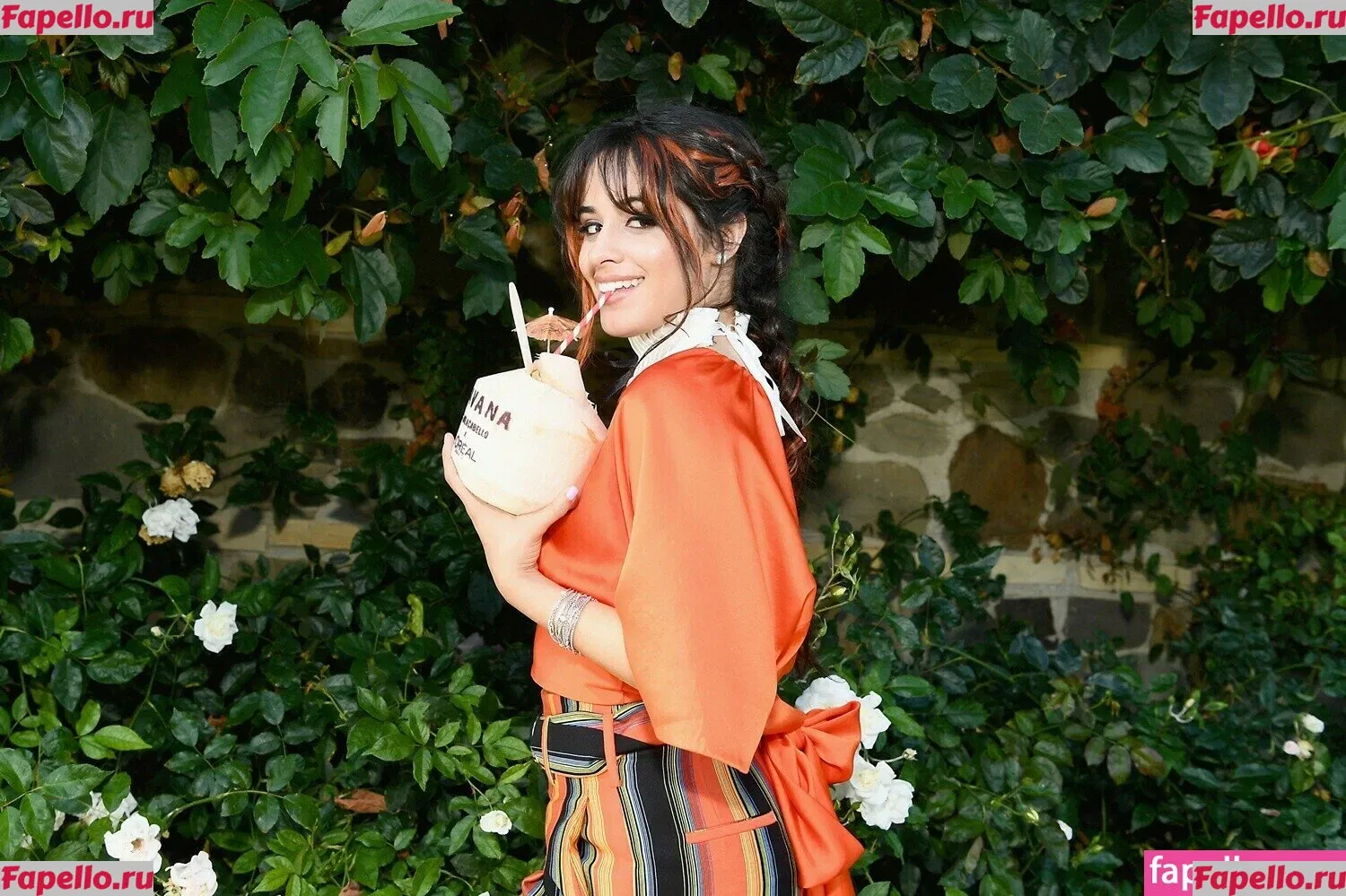 Camila Cabello Onlyfans Photo Gallery 