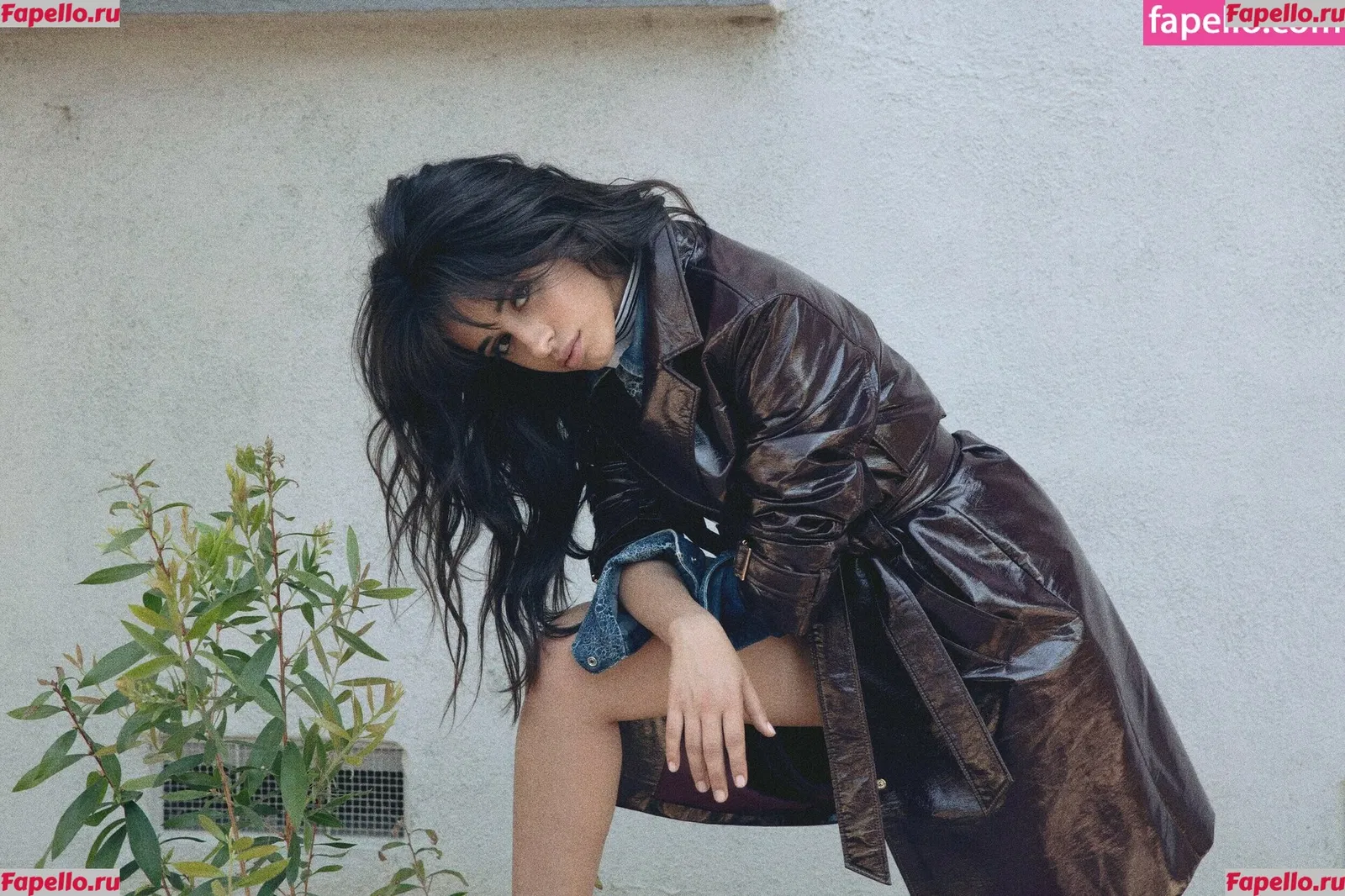Camila Cabello Onlyfans Photo Gallery 
