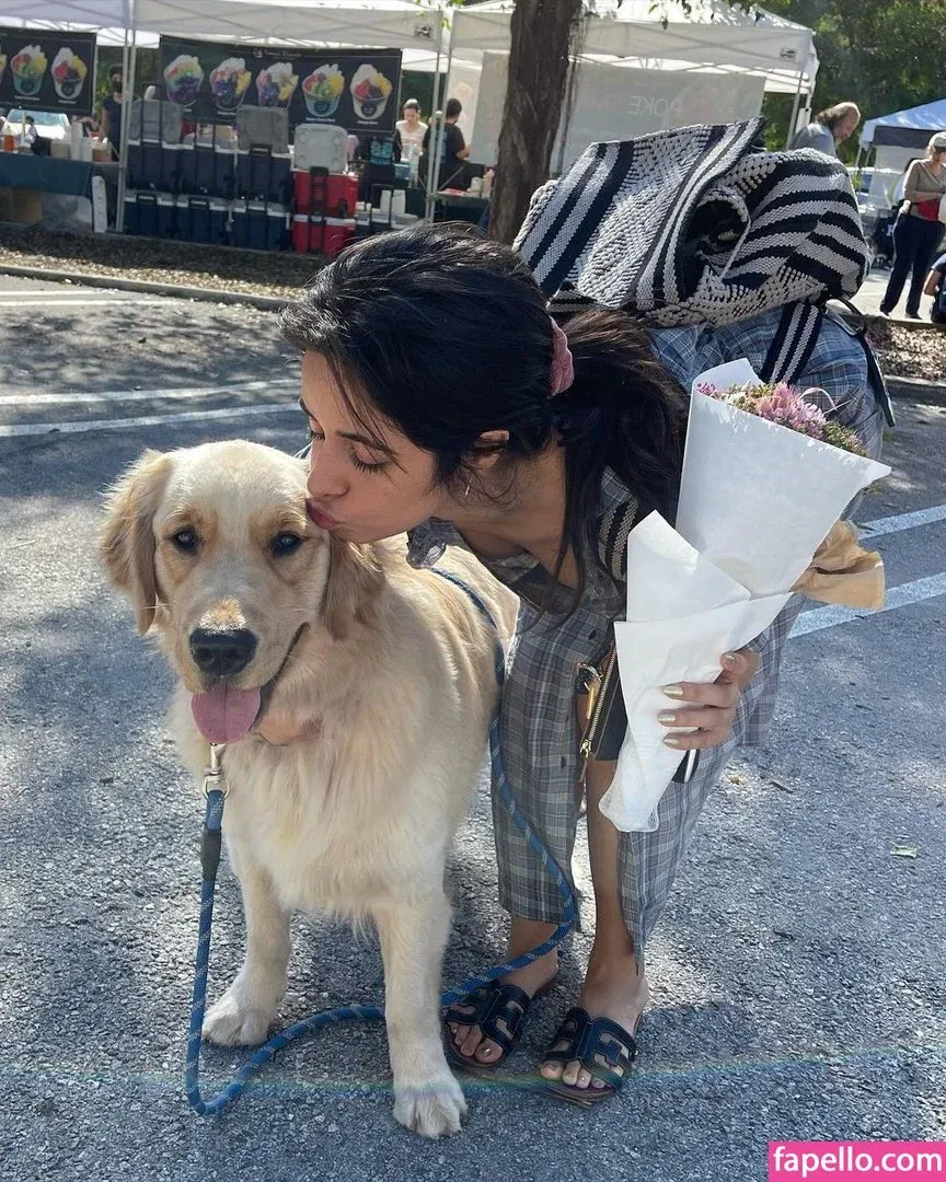 Camila Cabello Onlyfans Photo Gallery 