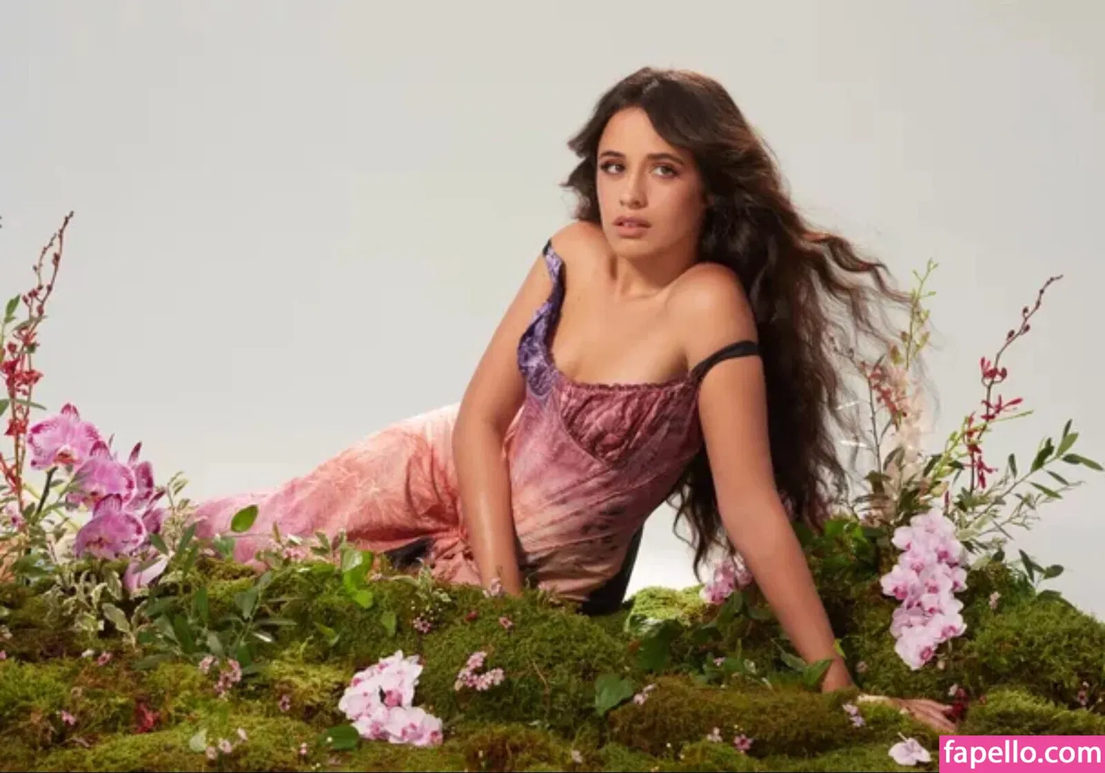 Camila Cabello Onlyfans Photo Gallery 