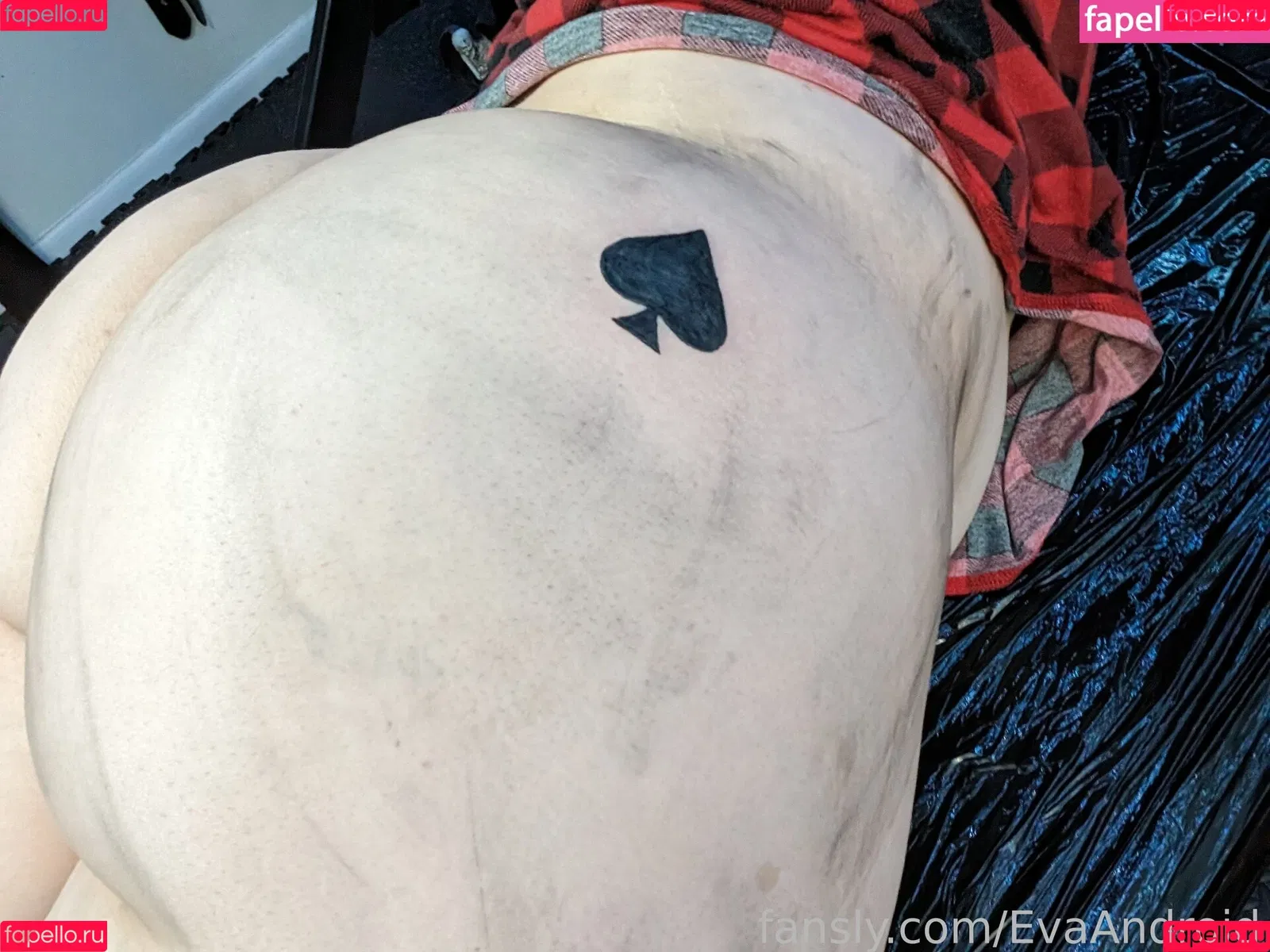 EvaAndroid Onlyfans Photo Gallery 