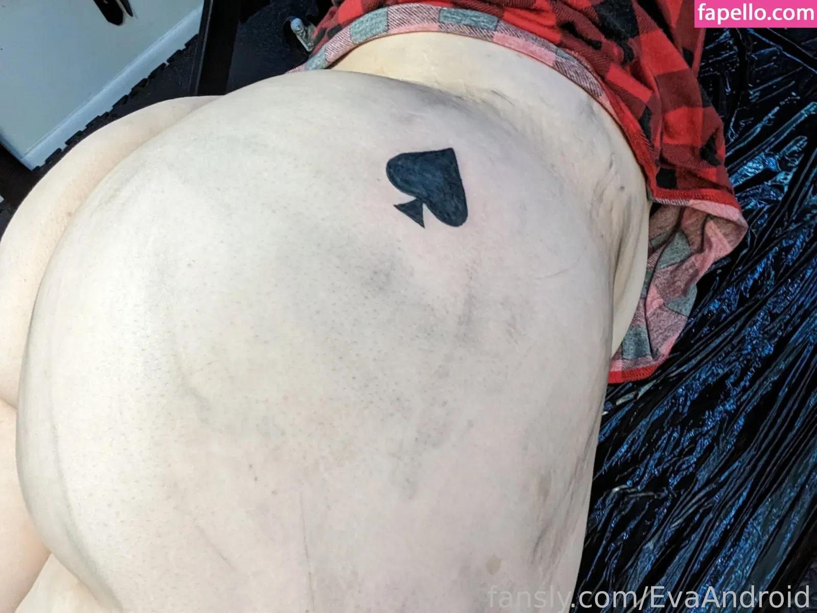 EvaAndroid Onlyfans Photo Gallery 