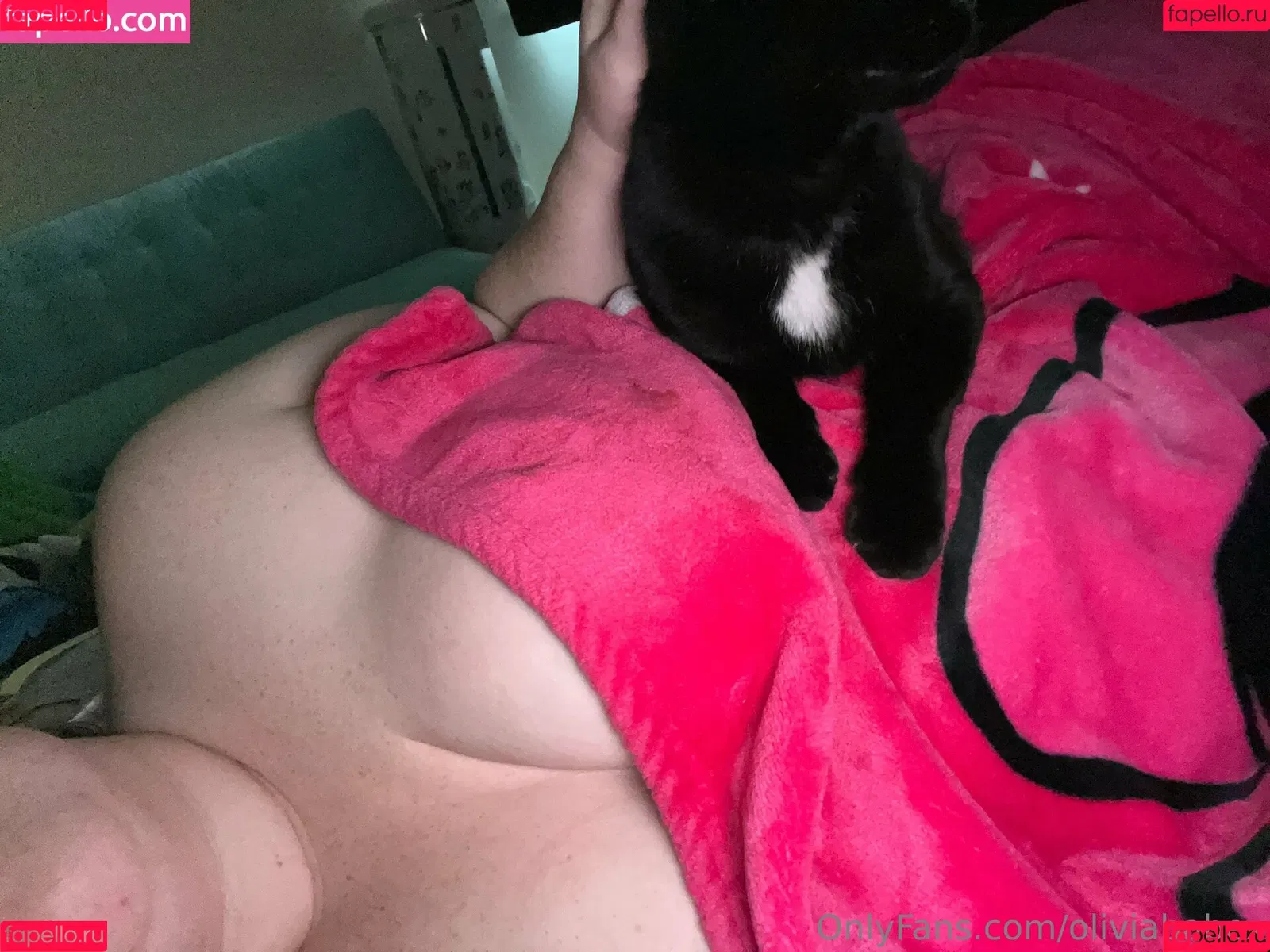 oliviababex Onlyfans Photo Gallery 