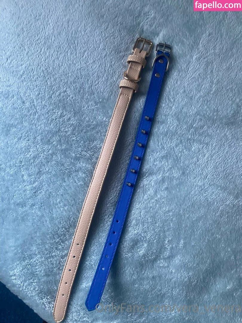 vera_venera Onlyfans Photo Gallery 