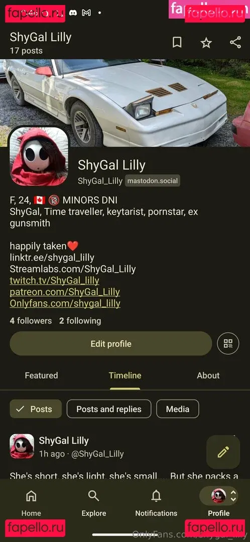 Shygal_lilly Onlyfans Photo Gallery 