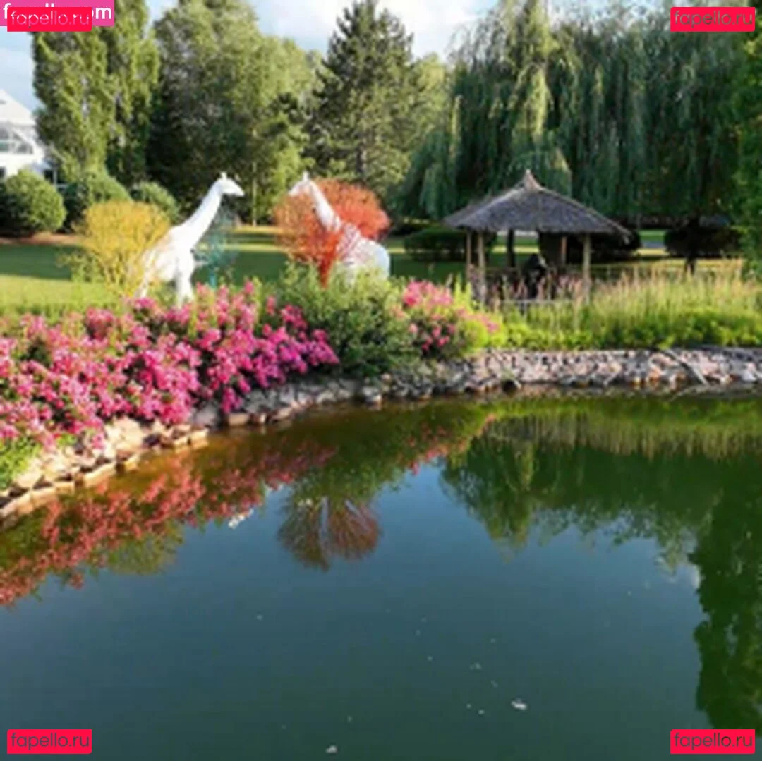 Rocco Siffredi Onlyfans Photo Gallery 