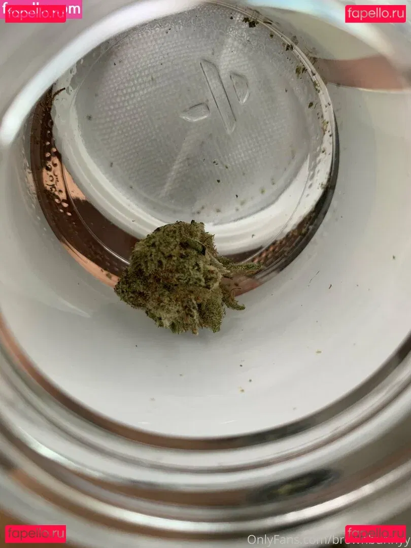 brownbunnyy Onlyfans Photo Gallery 