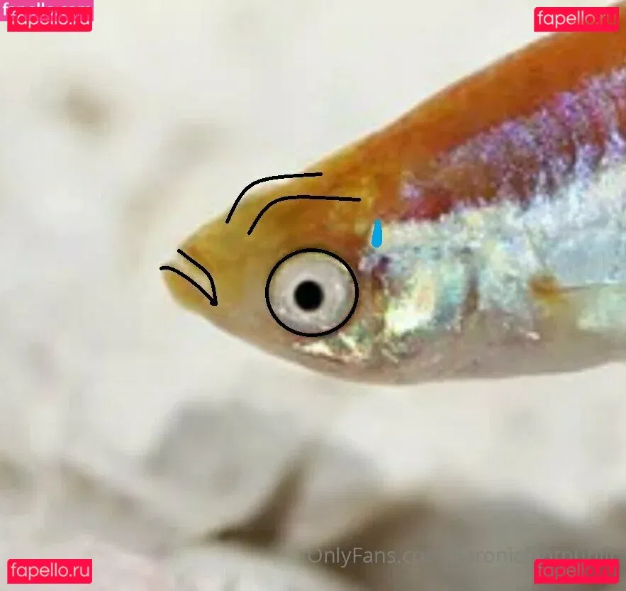 aaronicflintpublic Onlyfans Photo Gallery 