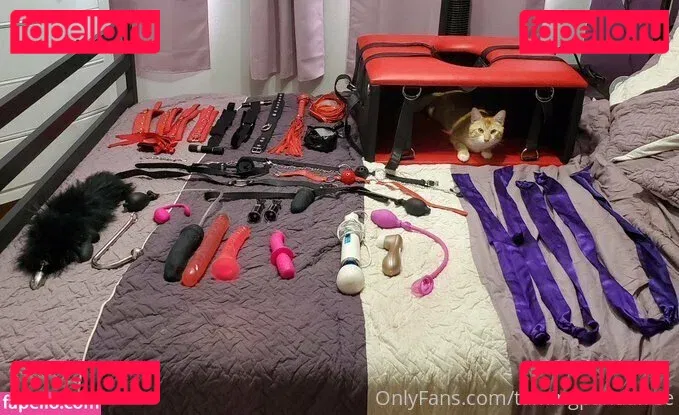 tamingpandafree Onlyfans Photo Gallery 