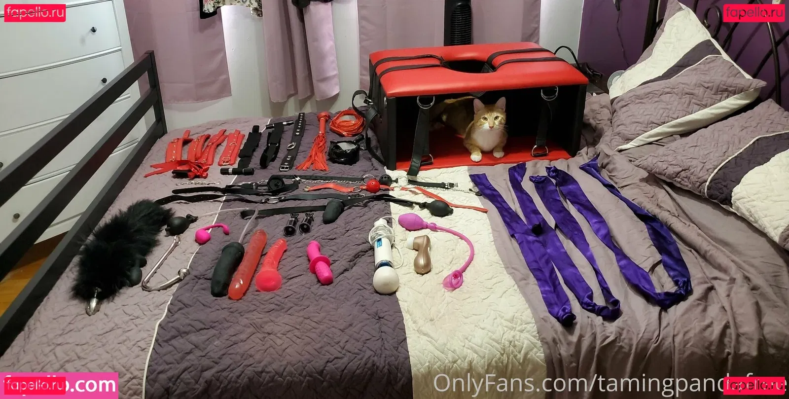 tamingpandafree Onlyfans Photo Gallery 