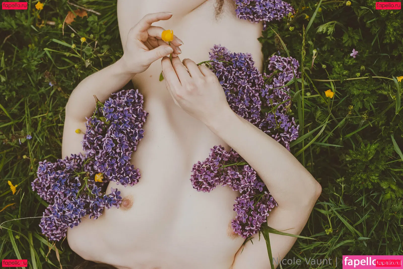 vauntastic Onlyfans Photo Gallery 