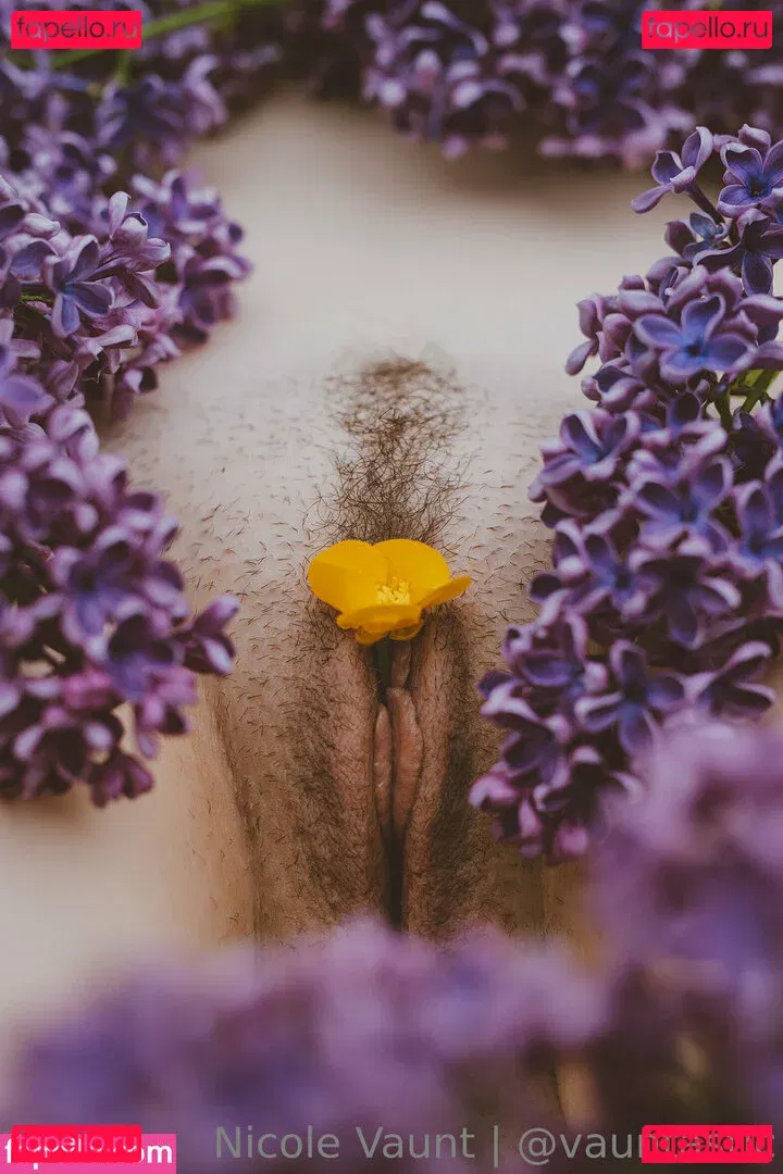 vauntastic Onlyfans Photo Gallery 