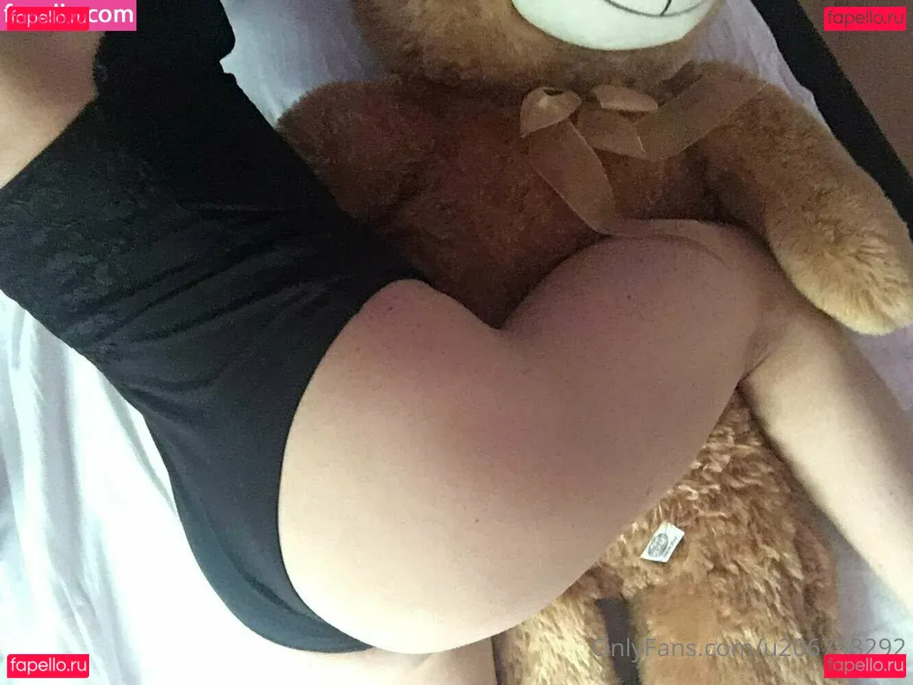 u206758292 Onlyfans Photo Gallery 