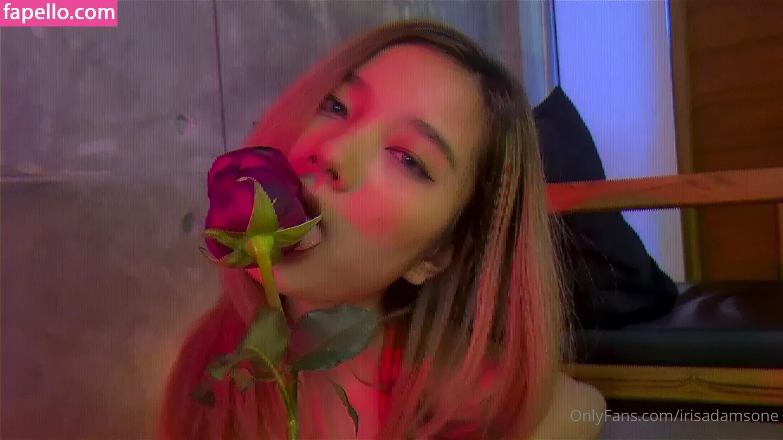 irisadamsone Onlyfans Photo Gallery 