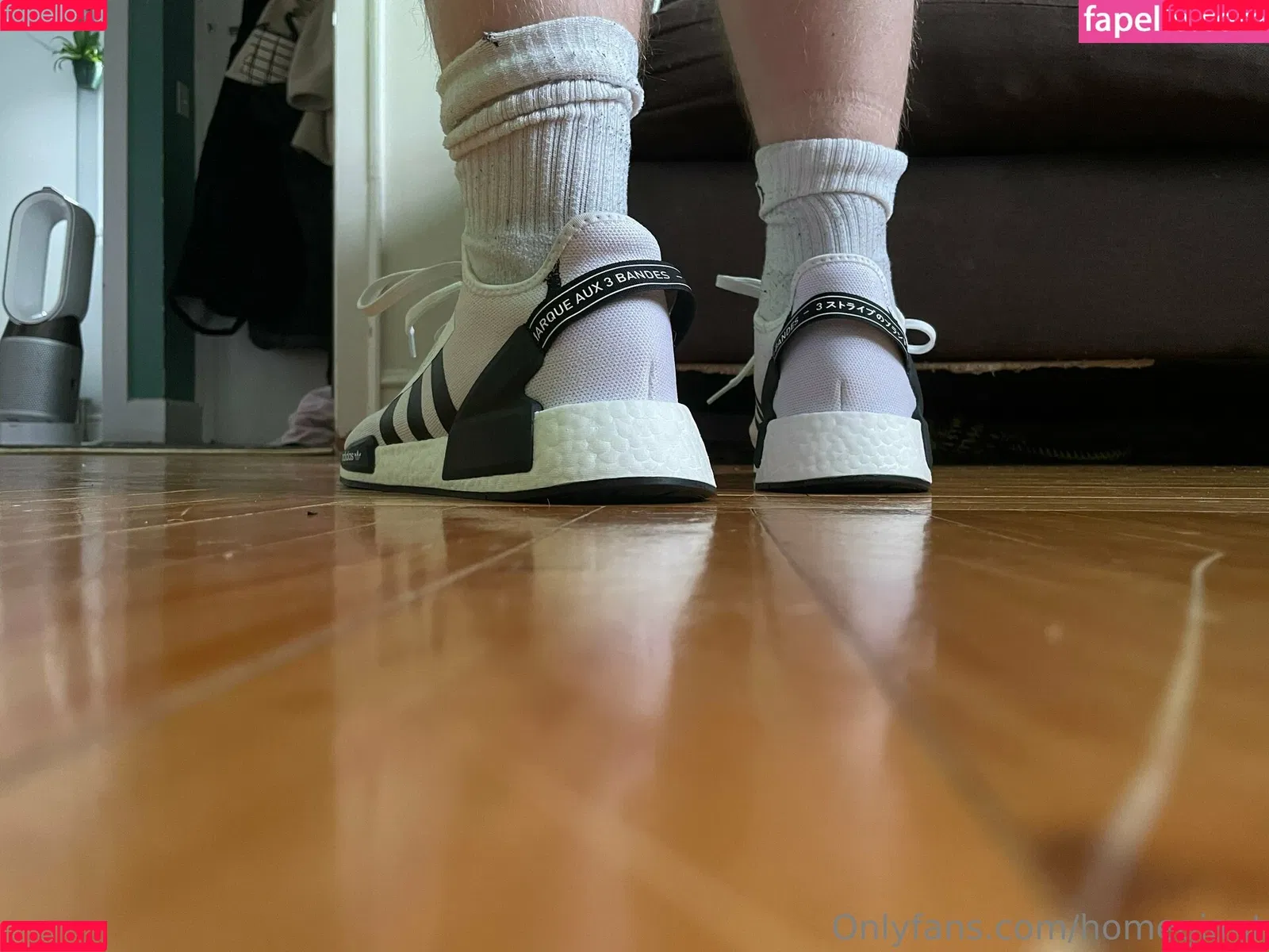 homegiant Onlyfans Photo Gallery 